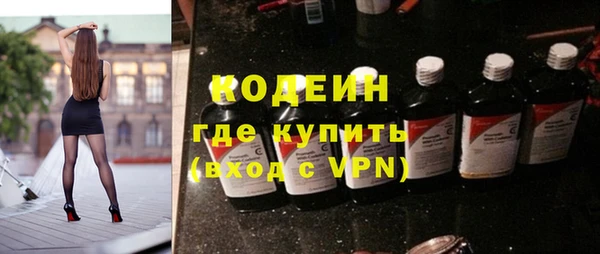шишки Слюдянка