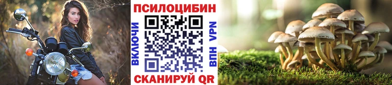 даркнет сайт  маркетплейс клад  Галлюциногенные грибы Magic Shrooms  Ленск 